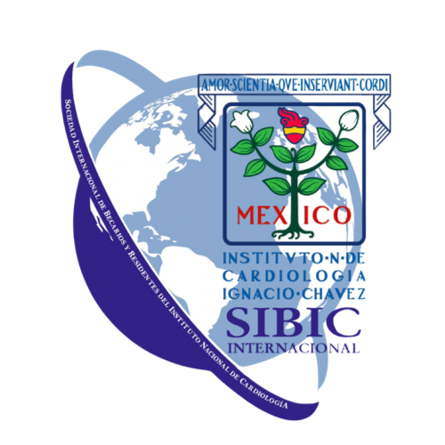 Logo SIBIC International